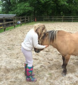 equine therapy west wales