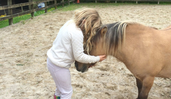 equine therapy west wales